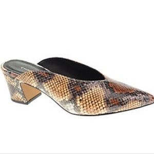 Chinese Laundry Shoes